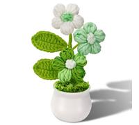 Phaicoilo Crochet Potted Puff Flowers Knitted (Green)