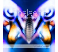 Phalaena - Reflections