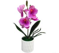 Phalaenopsis Artificial Bonsai for Interior Accents in Neutral Tone Rooms with Focus on Organic Form and Subtle Contrast (speckled purple)