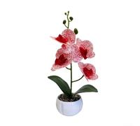 Phalaenopsis-Form 3D Printed Ornament with Film Simulation Texture and Rain Flower Stone Base for Grounded Decor Presence (Red)