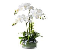 Phalaenopsis Orchid Floral Arrangement in vase, Silk Fake Orchids Flowers Artificial for Indoor Outdoor Wedding Home Office Decoration Festive Furnishing White/Purple (Color: White) Table Centerpiece