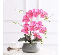 Phalaenopsis Orchid Floral Arrangement in vase, Silk Fake Orchids Flowers Artificial for Indoor Outdoor Wedding Home Office Decoration Festive Furnishing White/Pink/Purple for House Table Office Desk