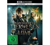 Phantastische Tierwesen 3-Film Collection - 4K UHD: 4K Ultra HD Blu-ray + Blu-ray