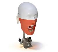 Phantom Head Dental Model,with Bench Mount Fixed on Desk 360°for Teaching (B)