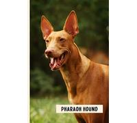 Pharaoh Hound: Funny Wide Ruled Notebook Gift For Pharaoh Hound Lovers - Perfect Pharaoh Hound Gift On Valentine Day/Birthday/Halloween - 6 x 9 Inches - 110 Lined Pages
