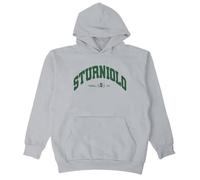 PHARCOYOU Sturniolo Triplets Surprise Party Collegiate Hoodie Long Sleeve Streetwear Men Women Hooded Sweatshirt (L,Gray)