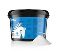 PharmaHorse BCAA | with three essential amino acids | Powerful dosage | No added sugar | 100% Doping-free | 1000 grams