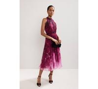 Phase Eight Bethany Floral Print Dress In Fuchsia Fuchsia 24