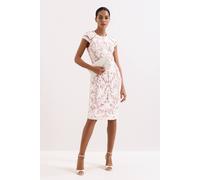 Phase Eight Womens Phase Eight Karima Tapework-Lace Woven Mini Dress Pale Pink 18