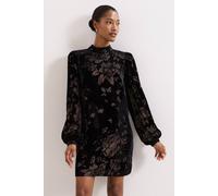 Phase Eight Reanna Shift Dress In Black Black 22