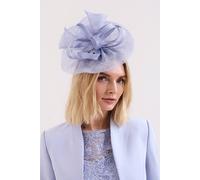Phase Eight Women's Freeform Fascinator in Baby Blue Phase Eight Baby Blue One Size
