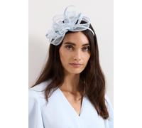 Phase Eight Women's Loop Occasion Headband Fascinator in Baby Blue Phase Eight Baby Blue One Size