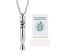 phaxud Stainless Steel Breathing Necklace with Meditation Cards, 2-in-1 Aromatherapy Necklace for Calm, Stress Support, Focus, and Urge Management for Women Men, 4 UK, Stainless Steel, No Gemstone