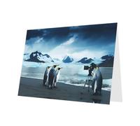 PHAYAH 10 Sheets Cute Penguins Taking Pictures Pattern Holiday Cards White Envelope Suitable As Wedding Anniversary And Party Invitation Cards