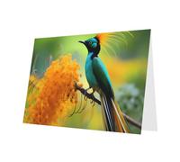 PHAYAH 10 Sheets Long-Plume Bluebird Holiday Cards White Envelope Suitable As Wedding Anniversary And Party Invitation Cards