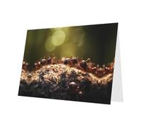 PHAYAH 10 Sheets The Ant Gathering Holiday Cards Dark Green Envelope Suitable As Wedding Anniversary And Party Invitation Cards