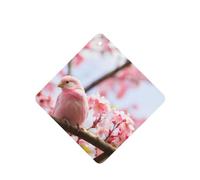 Phayah 4 Pcs Car Fresheners Hanging Cherry Blossom And Bird Pattern Lavender Scent Tablets Long Lasting Fragrance Scented Card Square