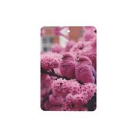 Phayah 4 Pcs Car Fresheners Hanging Cherry Blossom And Tits Pattern Lavender Scent Tablets Long Lasting Fragrance Scented Card Rectangle