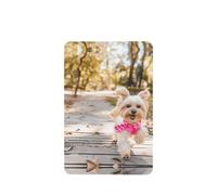 Phayah 4 Pcs Car Fresheners Hanging Dog Running Toward You Pattern Lavender Scent Tablets Long Lasting Fragrance Scented Card Rectangle