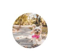 Phayah 4 Pcs Car Fresheners Hanging Dog Running Toward You Pattern Lavender Scent Tablets Long Lasting Fragrance Scented Card Round Shape