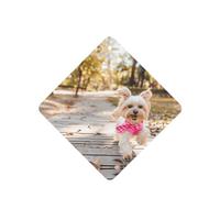 Phayah 4 Pcs Car Fresheners Hanging Dog Running Toward You Pattern Lavender Scent Tablets Long Lasting Fragrance Scented Card Square