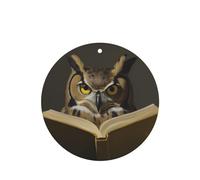 Phayah 4 Pcs Car Fresheners Hanging Owl Reading A Book Pattern Lavender Scent Tablets Long Lasting Fragrance Scented Card Round Shape