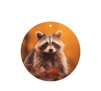 Phayah 4 Pcs Car Fresheners Hanging Raccoon Pattern Lavender Scent Tablets Long Lasting Fragrance Scented Card Round Shape