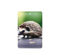 Phayah 4pcs A Little Hedgehog Pattern Lavender Scent Car Air Fresheners Rectangle Hanging Fragrance Tablet Closet Shoe Closet Fragrance