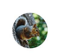 Phayah 4pcs A Squirrel Pattern Lavender Scent Car Air Fresheners Round Shape Hanging Fragrance Tablet Closet Shoe Closet Fragrance