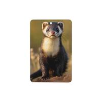 Phayah 4pcs Meerkats On The Ground Pattern Lavender Scent Car Air Fresheners Rectangle Hanging Fragrance Tablet Closet Shoe Closet Fragrance