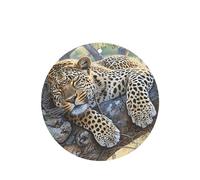 Phayah 4pcs Sleeping Leopard Pattern Lavender Scent Car Air Fresheners Round Shape Hanging Fragrance Tablet Closet Shoe Closet Fragrance