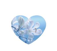 Phayah 4pcs Small White Flowers In Bloom Pattern Lavender Scent Car Air Fresheners Heart Shape Hanging Fragrance Tablet Closet Shoe Closet Fragrance