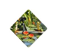 Phayah 4pcs Two Frogs Taking Pictures Pattern Lavender Scent Car Air Fresheners Square Hanging Fragrance Tablet Closet Shoe Closet Fragrance