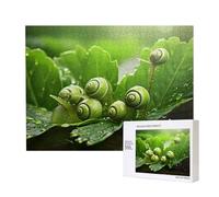 Phayah 500 Piece Adult Puzzle Kids Wooden Puzzle Toy Kit Home Decor 52 X 38 Cm Snail On Vegetable Leaf Pattern
