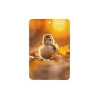 Phayah 6 Pcs Car Fresheners Hanging Chicken Little Pattern Lavender Scent Tablets Long Lasting Fragrance Scented Card Rectangle