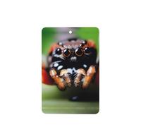 Phayah 6 Pcs Car Fresheners Hanging Cracked Spider Pattern Lavender Scent Tablets Long Lasting Fragrance Scented Card Rectangle