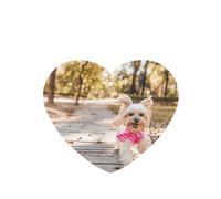 Phayah 6 Pcs Car Fresheners Hanging Dog Running Toward You Pattern Lavender Scent Tablets Long Lasting Fragrance Scented Card Heart Shape