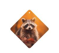 Phayah 6 Pcs Car Fresheners Hanging Raccoon Pattern Lavender Scent Tablets Long Lasting Fragrance Scented Card Square