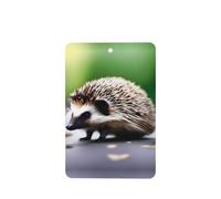 Phayah 6pcs A Little Hedgehog Pattern Lavender Scent Car Air Fresheners Rectangle Hanging Fragrance Tablet Closet Shoe Closet Fragrance
