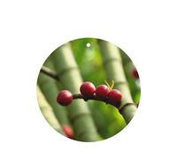 Phayah 6pcs Autumn Fruit On The Branch Pattern Lavender Scent Car Air Fresheners Round Shape Hanging Fragrance Tablet Closet Shoe Closet Fragrance