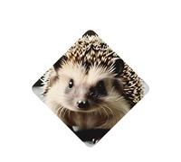 Phayah 6pcs Cute Hedgehog Pattern Lavender Scent Car Air Fresheners Square Hanging Fragrance Tablet Closet Shoe Closet Fragrance