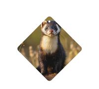 Phayah 6pcs Meerkats On The Ground Pattern Lavender Scent Car Air Fresheners Square Hanging Fragrance Tablet Closet Shoe Closet Fragrance