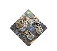 Phayah 6pcs Sleeping Leopard Pattern Lavender Scent Car Air Fresheners Square Hanging Fragrance Tablet Closet Shoe Closet Fragrance