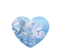 Phayah 6pcs Small White Flowers In Bloom Pattern Lavender Scent Car Air Fresheners Heart Shape Hanging Fragrance Tablet Closet Shoe Closet Fragrance