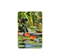 Phayah 6pcs Two Frogs Taking Pictures Pattern Lavender Scent Car Air Fresheners Rectangle Hanging Fragrance Tablet Closet Shoe Closet Fragrance