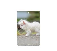 Phayah 6pcs White Baby Sheep Pattern Lavender Scent Car Air Fresheners Rectangle Hanging Fragrance Tablet Closet Shoe Closet Fragrance