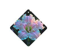Phayah 6pcs White Lily Pattern Lavender Scent Car Air Fresheners Square Hanging Fragrance Tablet Closet Shoe Closet Fragrance