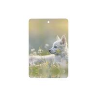 Phayah 6pcs White Puppy Pattern Lavender Scent Car Air Fresheners Rectangle Hanging Fragrance Tablet Closet Shoe Closet Fragrance