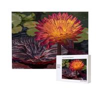 Phayah A Blooming Water Lily Pattern Puzzle Unique Jigsaw Wall Art Picture for Home Decoration 500 Pcs