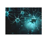 PHAYAH A Few Nerve Cells Pattern Ultra-Soft Micro Blanket Flannel Blankets for Couch Sofa Bed Living Room Office Lunch Break 40"X30"